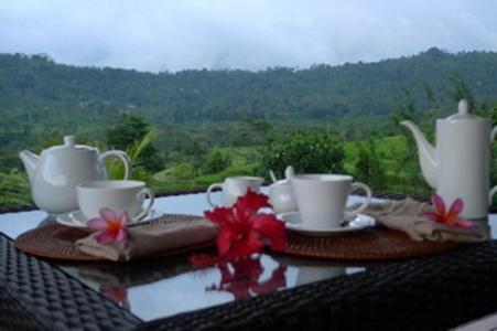 Villa Shantiasa Bali 시데멘 외부 사진