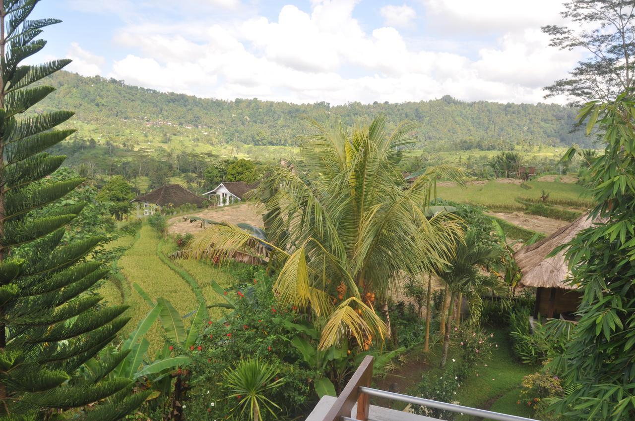 Villa Shantiasa Bali 시데멘 외부 사진