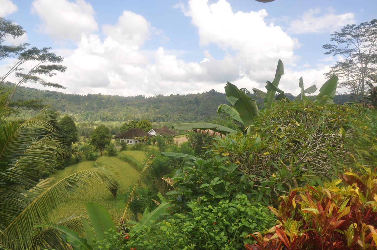 Villa Shantiasa Bali 시데멘 외부 사진